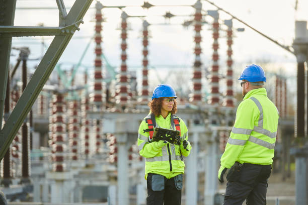 Best Electric Panel Repair  in South Monrovia Island, CA